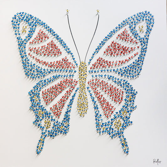 Papillons - Jaloe Art Gallery