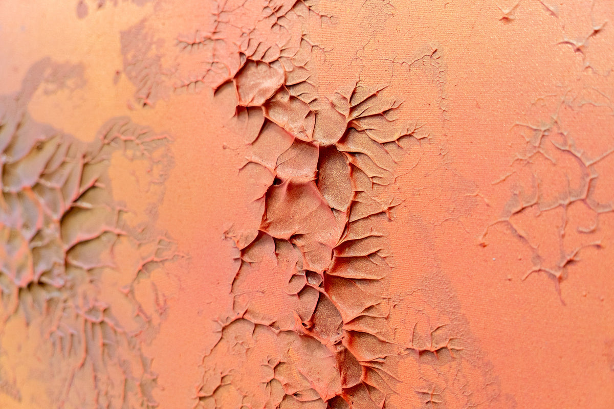 Terracota