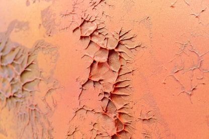 Terracota