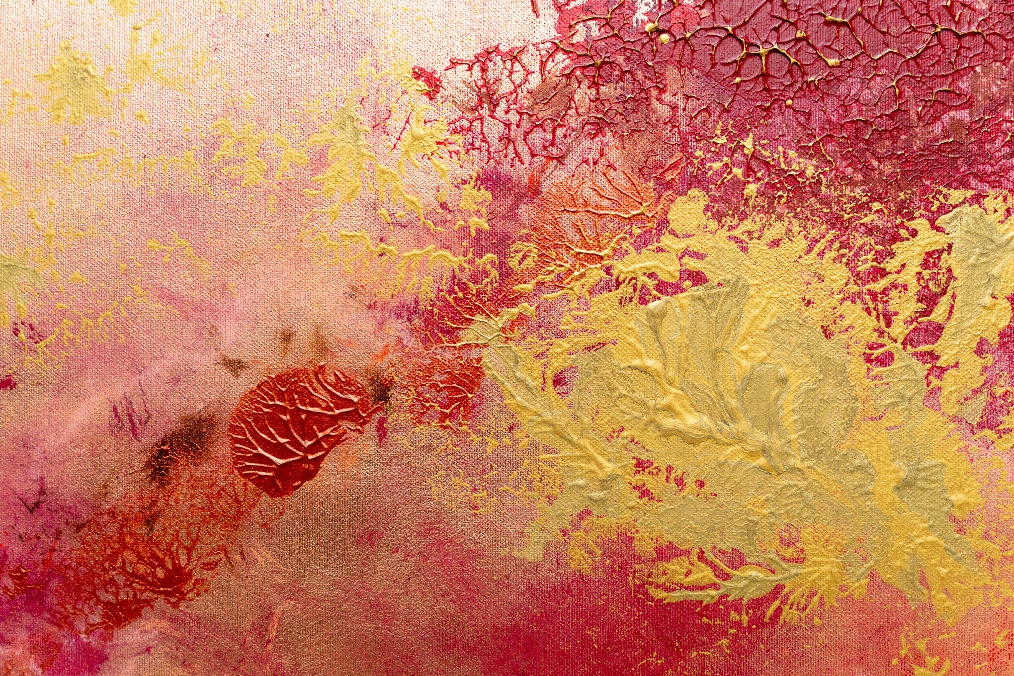 Halley, contemporary artist represented by Jaloe Art Gallery